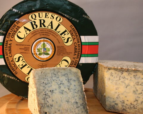Most expensive cheese cabrales blue cheese