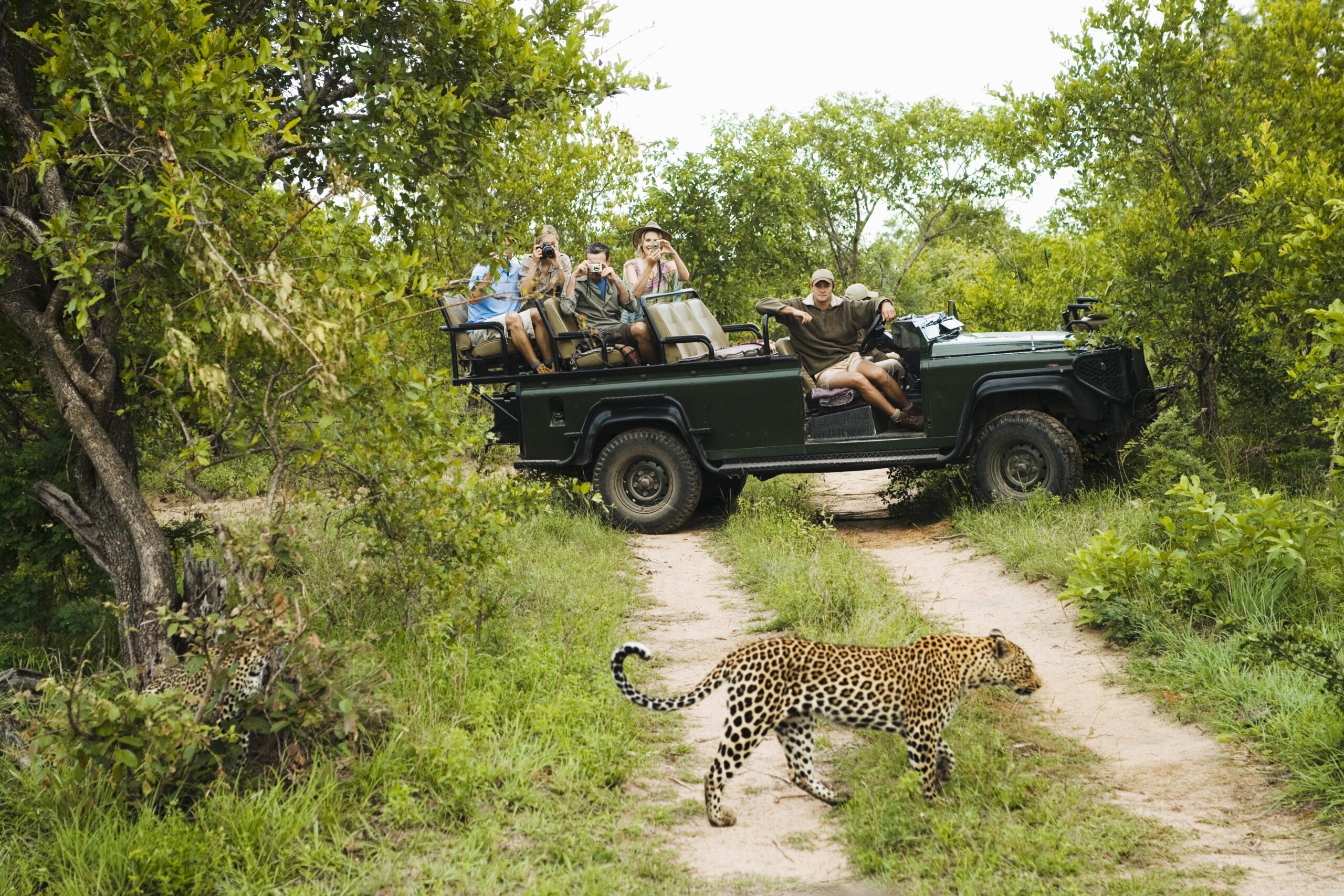 best jungle safaris in the world