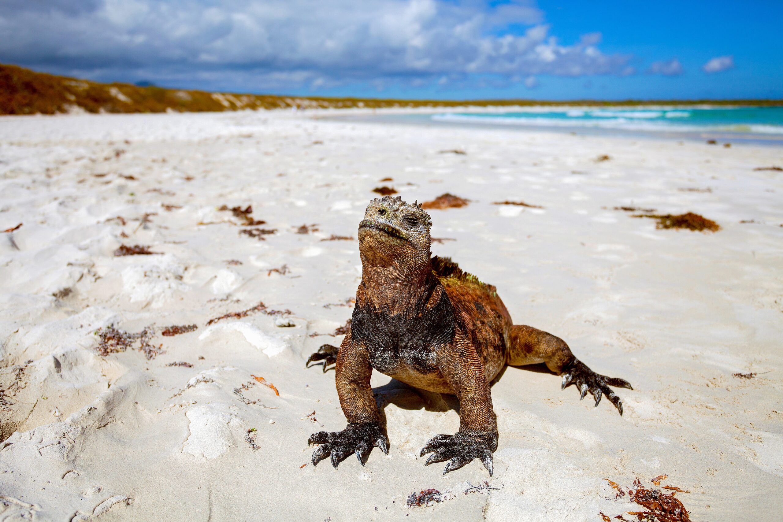 most unique beaches in the world