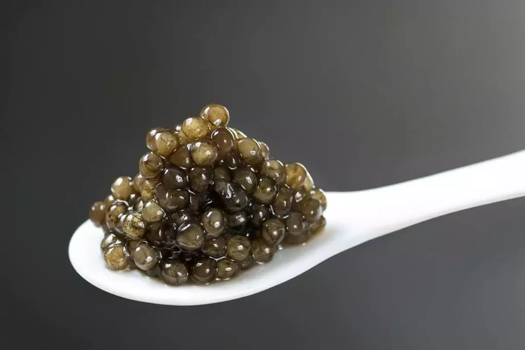Most Expensive Caviars