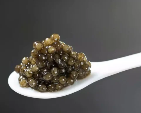 Most Expensive Caviars